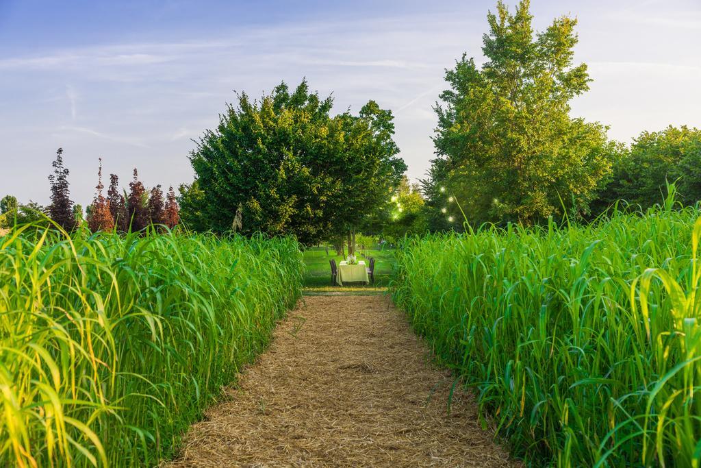 مبيت وإفطار Legnaro La Posa Degli Agri المظهر الخارجي الصورة